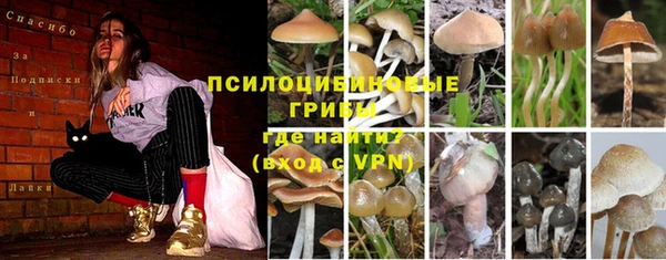 таблы Алексеевка