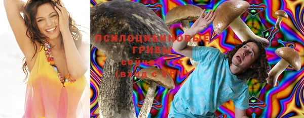 стафф Абинск
